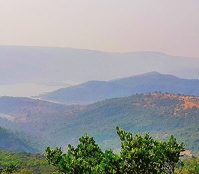 Radhanagari (Dajipur) Wildlife Sanctuary