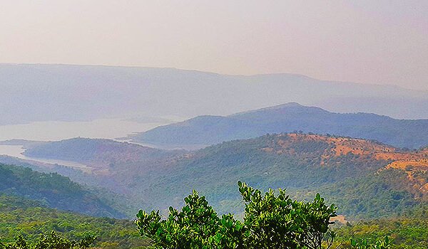 Radhanagari (Dajipur) Wildlife Sanctuary