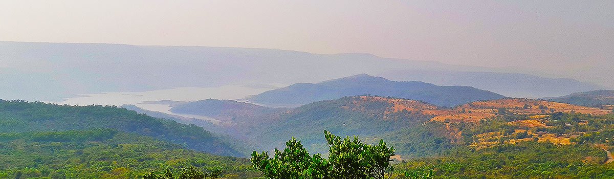 Radhanagari (Dajipur) Wildlife Sanctuary