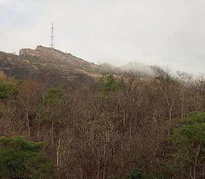 Sinhgad Bird Valley