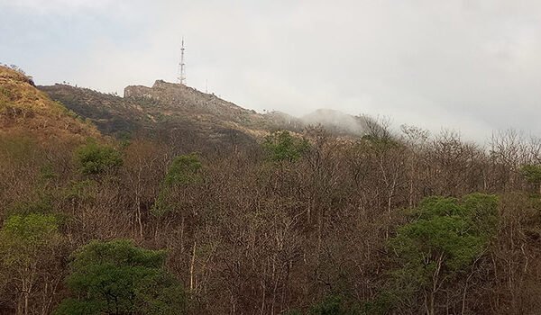 Sinhgad Bird Valley