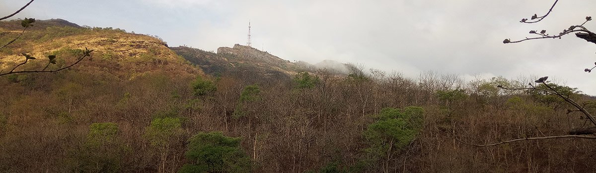 Sinhgad Bird Valley