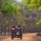 tadoba-diaries-buffer-cover