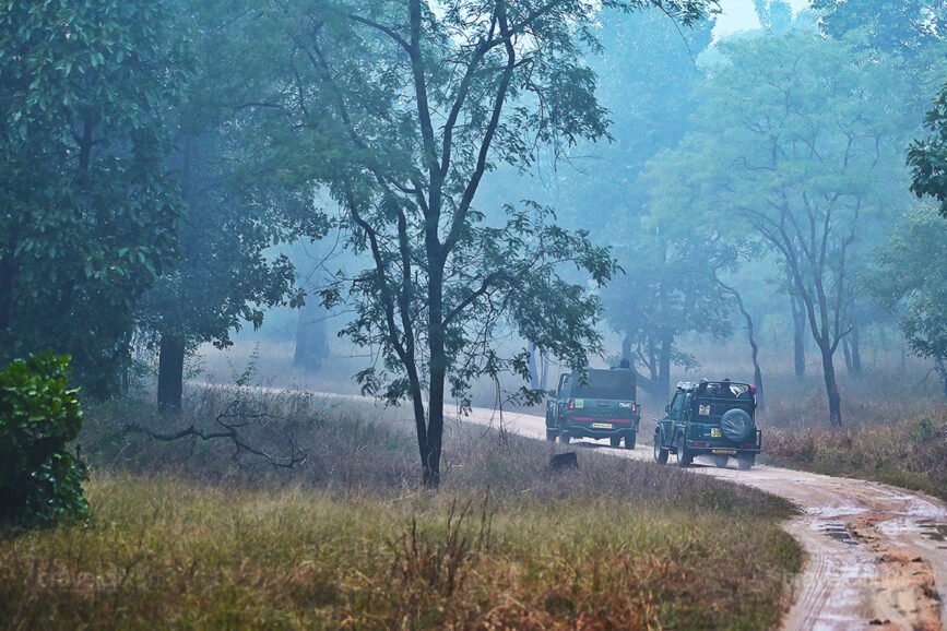 Turia Gate Route - Pench National Park - Travelclix